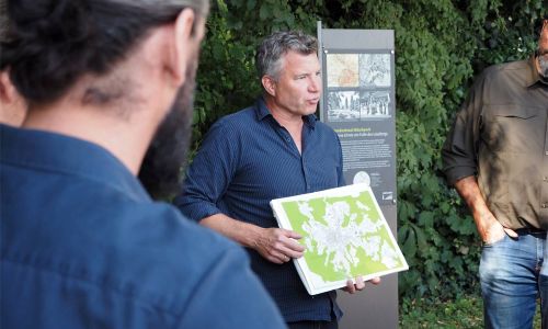 Baumpfleger erkunden Aachener Baumstandorte